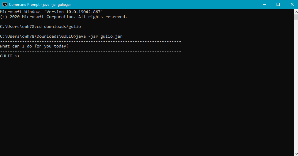 Command Line GULIO